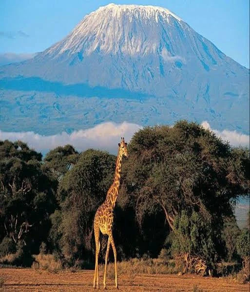 Mount Kilimanjaro National Park, Gilman's Point Tanzania