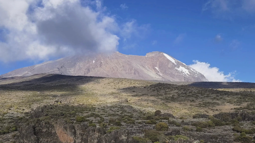 Mount Kilimanjaro National Park, Gilman's Point Tanzania