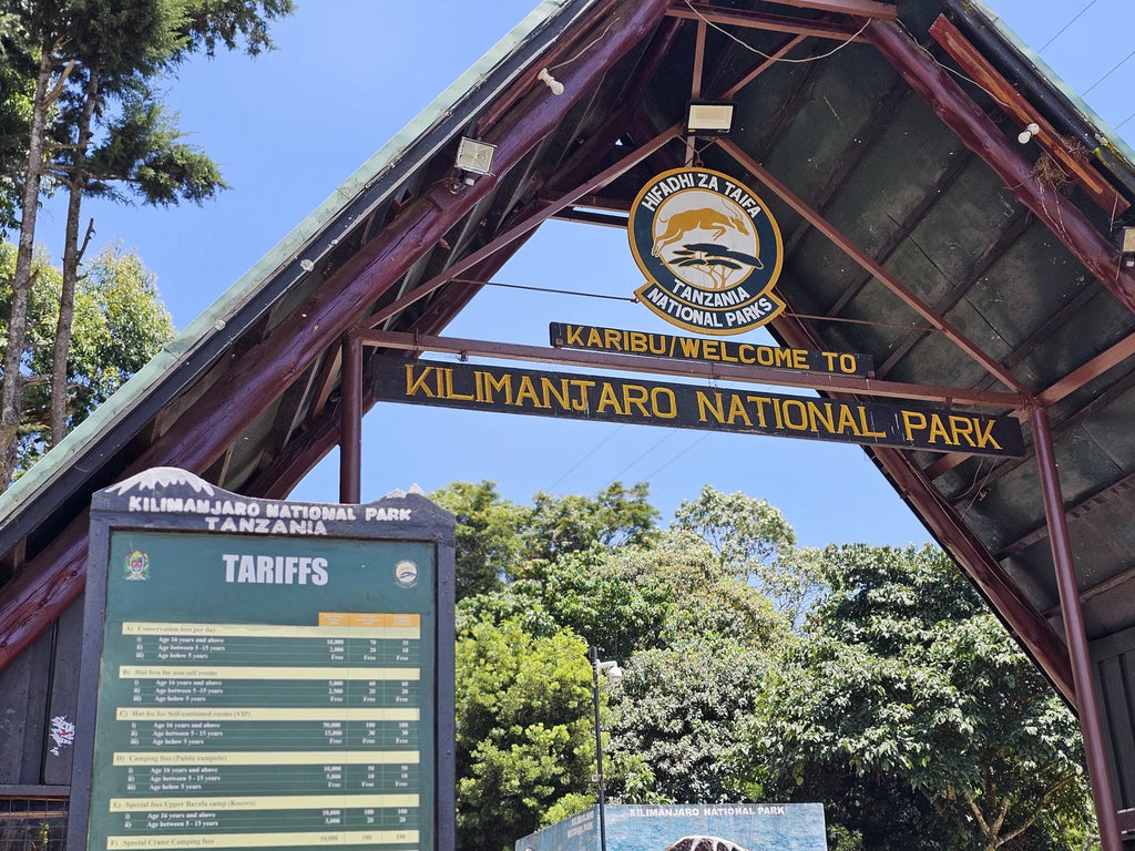 Mount Kilimanjaro National Park, Gilman's Point Tanzania