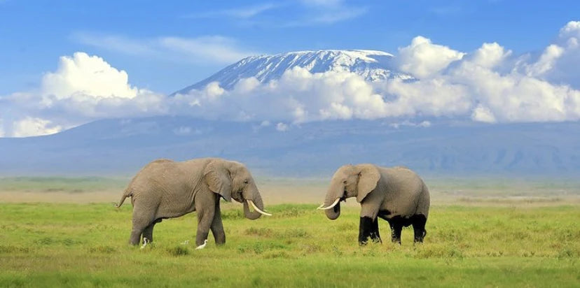 Mount Kilimanjaro National Park, Gilman's Point Tanzania