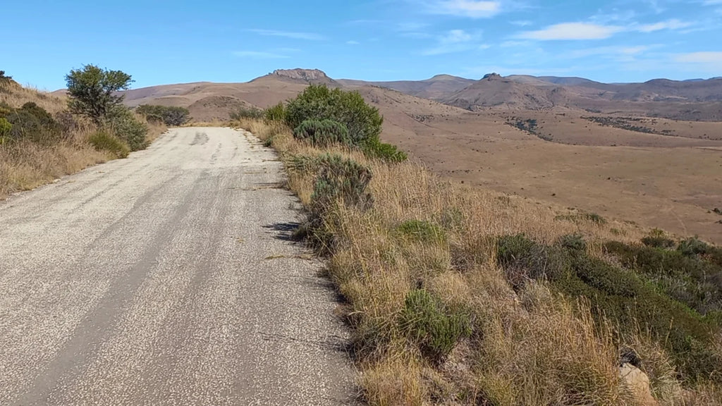 Mountain Zebra National Park,  South Africa