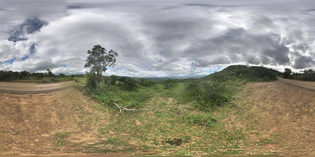 Mpila Camp, Hluhluwe-iMfolozi Park, Ezemvelo KZN Wildlife, St. Lucia Estuary South Africa