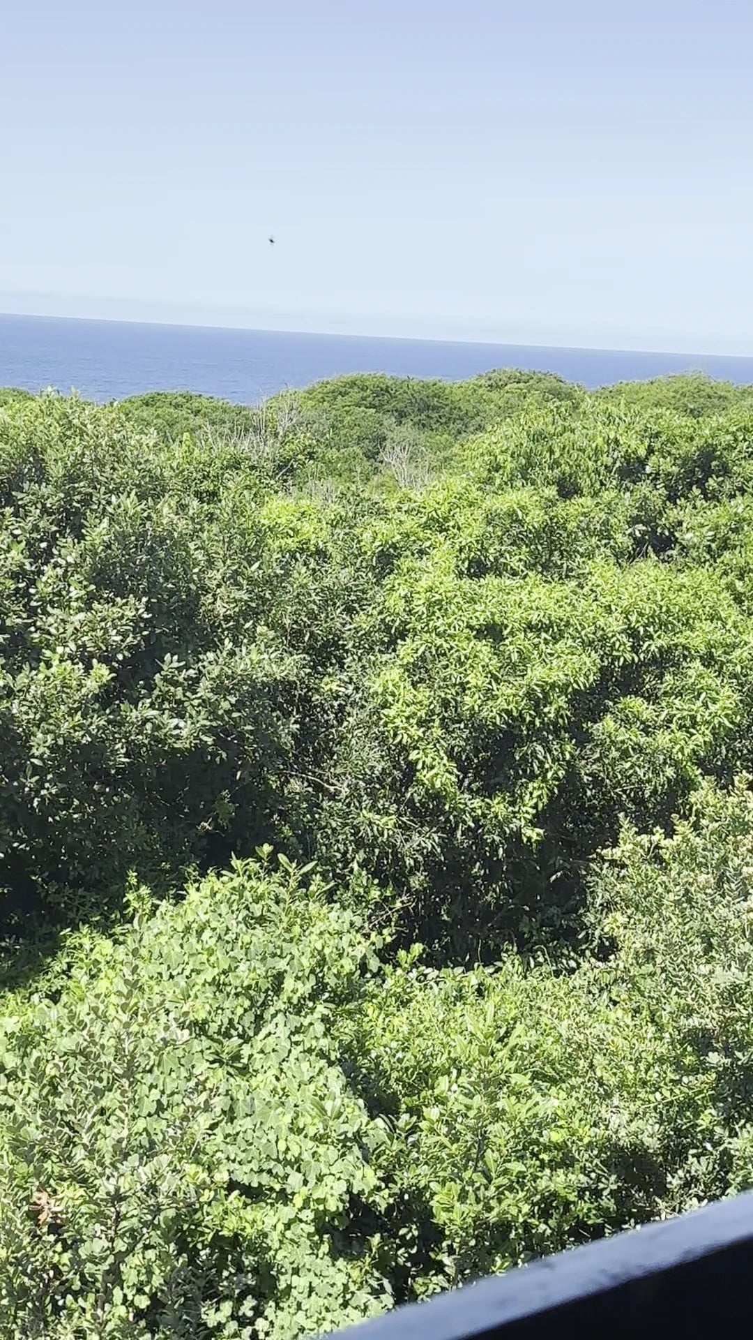 Mseni Beach Lodge, Mbazwana South Africa