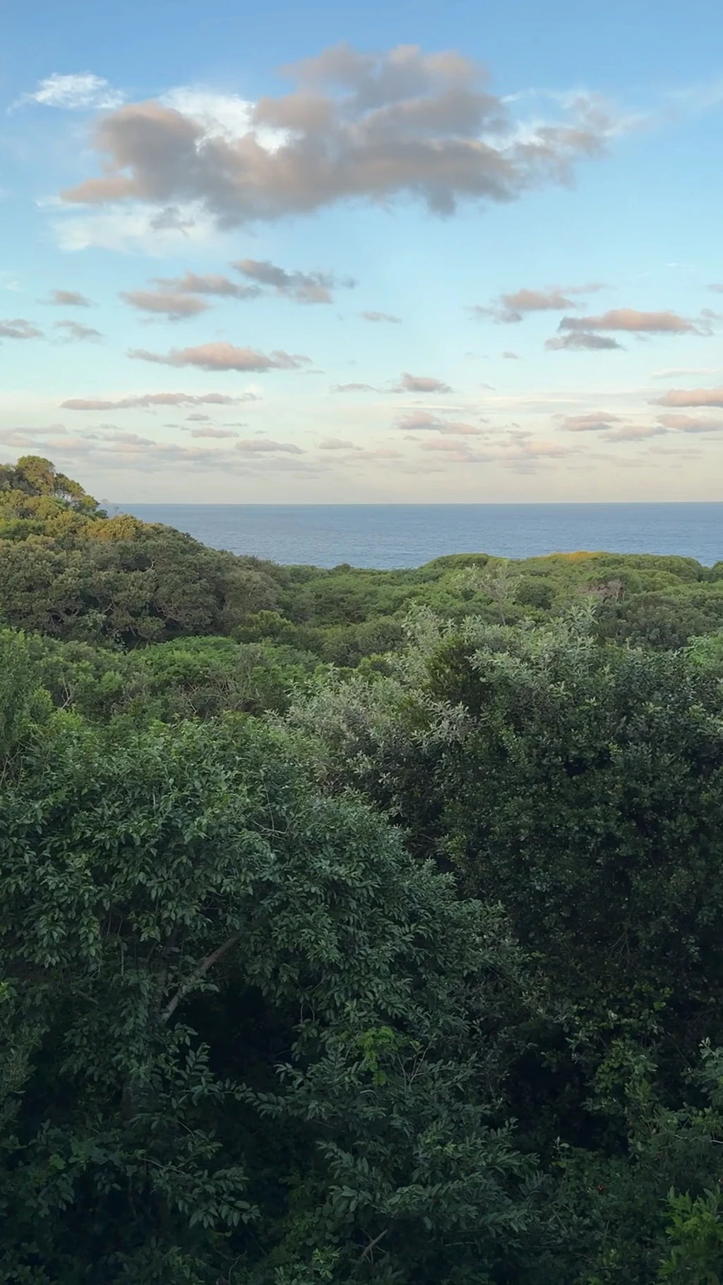 Mseni Beach Lodge, Mbazwana South Africa