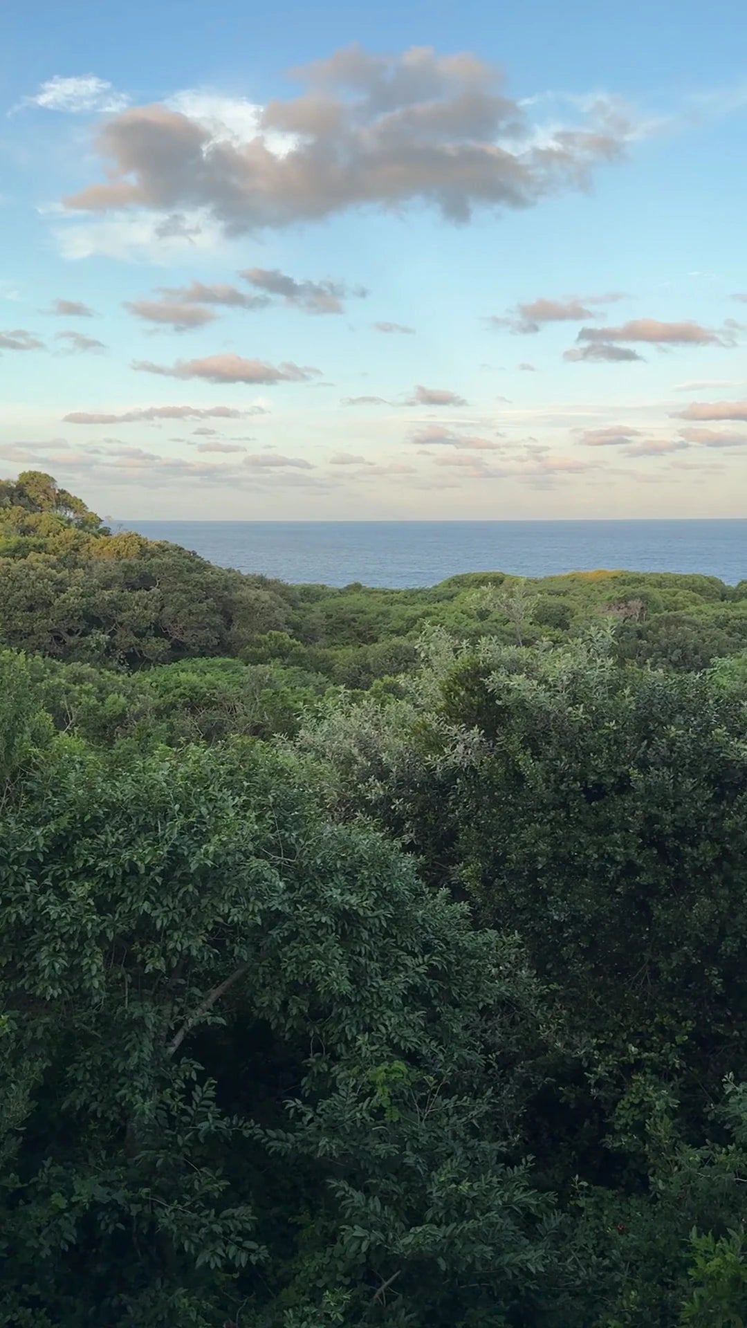 Mseni Beach Lodge, Mbazwana South Africa