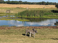 Mukuvisi Woodlands, Harare Zimbabwe