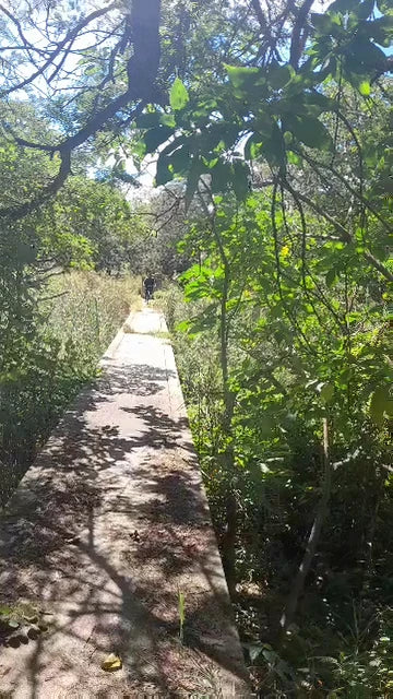Mukuvisi Woodlands, Harare Zimbabwe