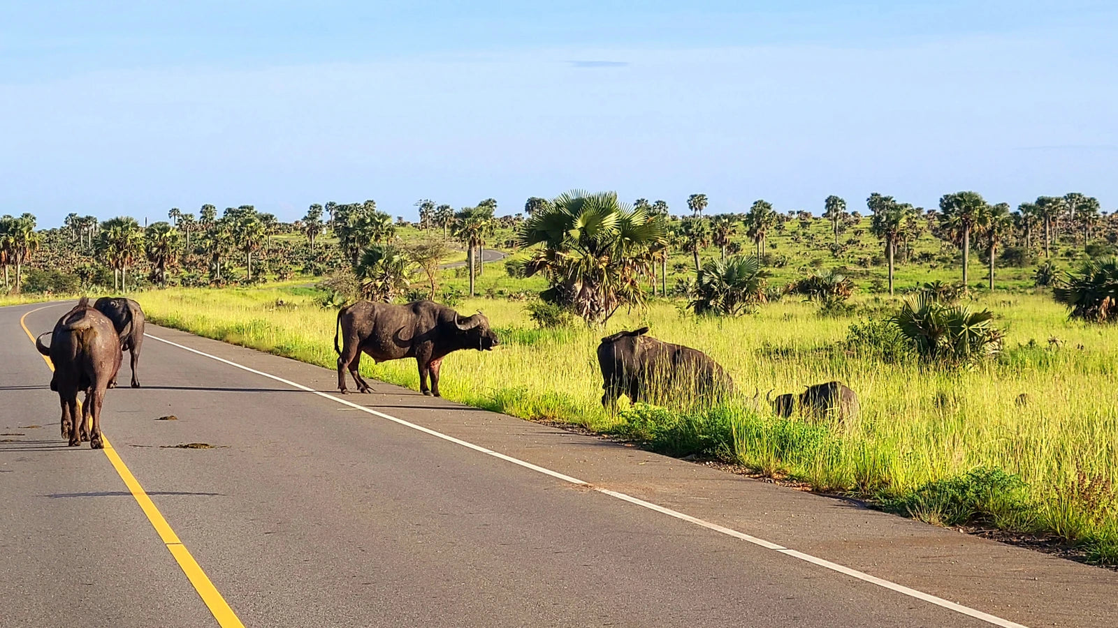 Murchison Falls National Park,  Uganda
