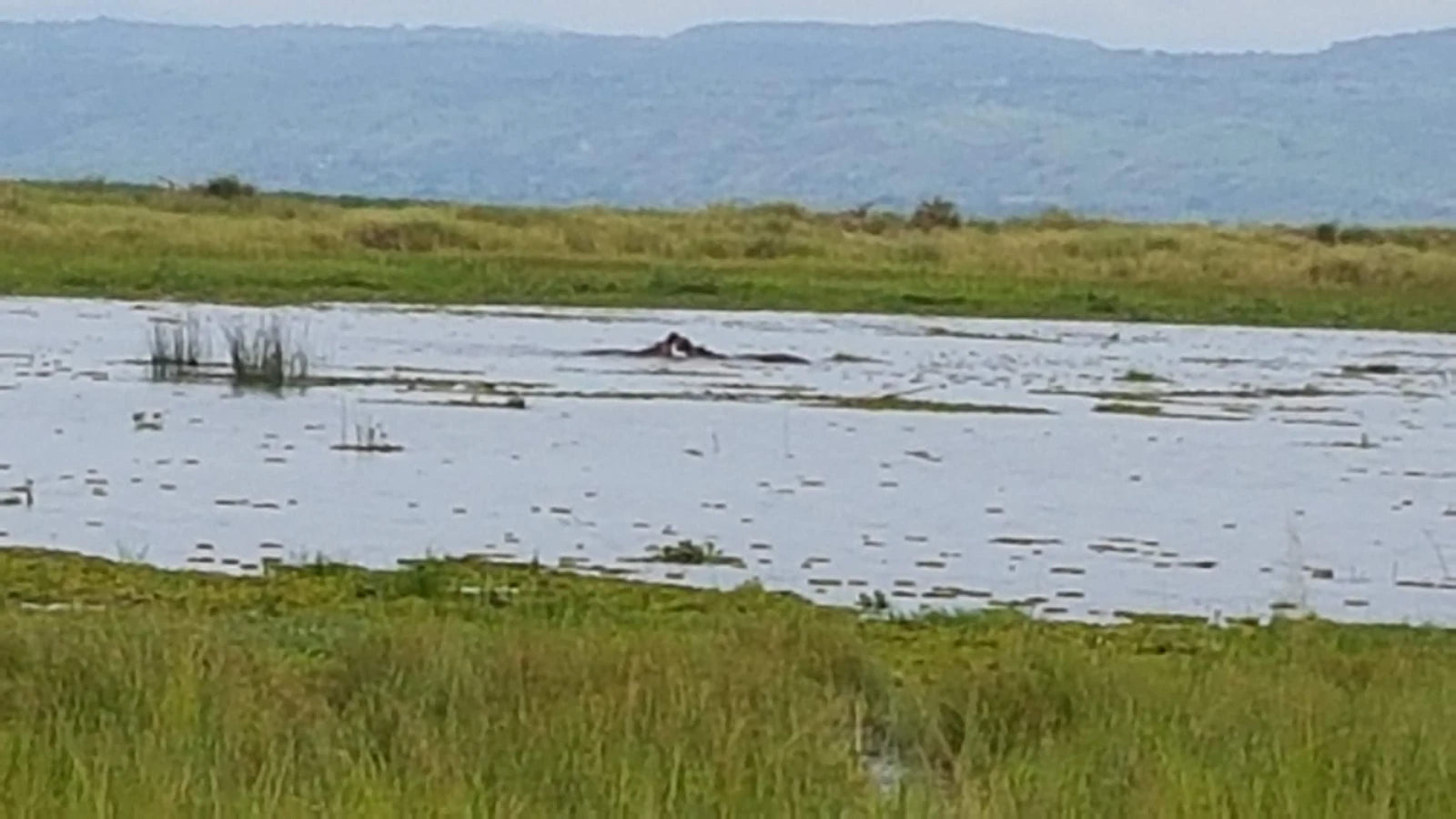 Murchison Falls National Park,  Uganda