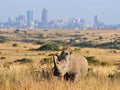 Nairobi National Park, 
Nairobi Kenya