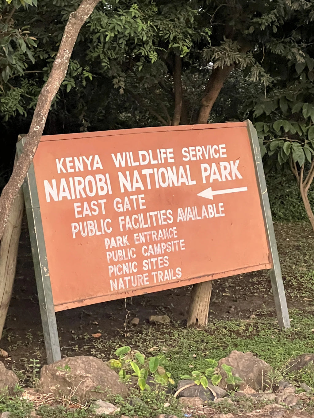 Nairobi National Park, 
Nairobi Kenya