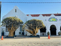Namaqualand country Lodge, Vanrhynsdorp South Africa
