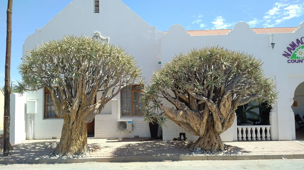 Namaqualand country Lodge, Vanrhynsdorp South Africa