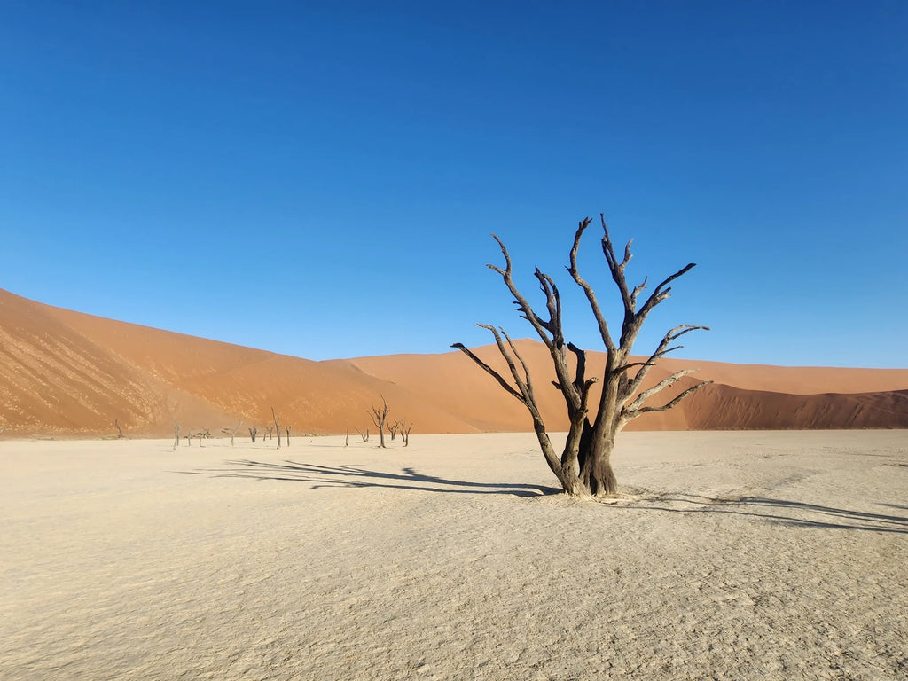 Namib-Naukluft National Park,  Namibia