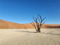 Namib-Naukluft National Park,  Namibia