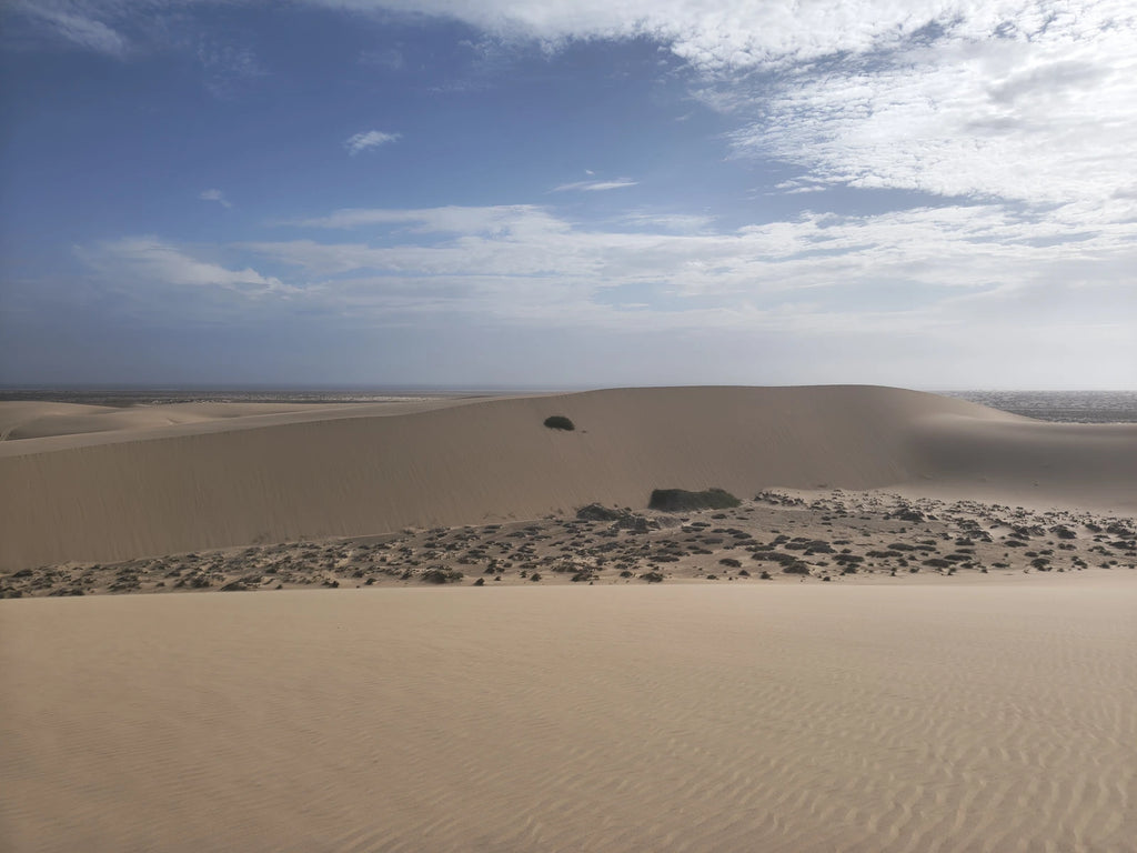 Namib-Naukluft National Park,  Namibia