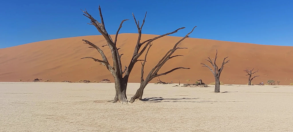 Namib-Naukluft National Park,  Namibia