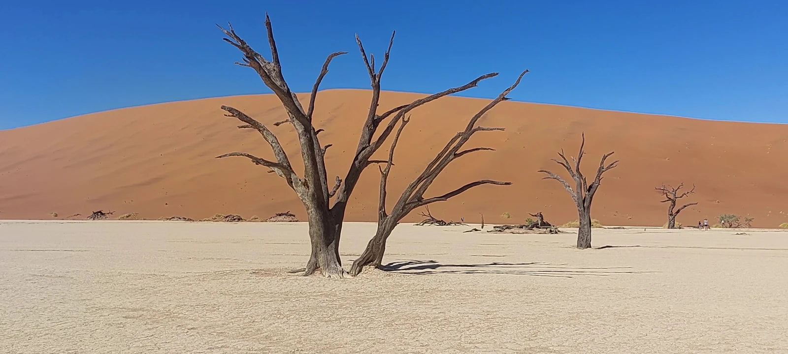 Namib-Naukluft National Park,  Namibia