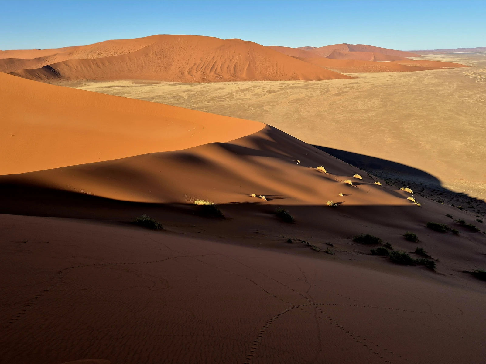 Namib-Naukluft National Park,  Namibia