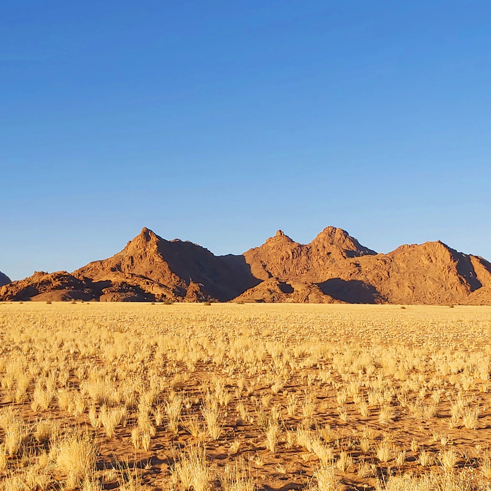 Namib-Naukluft National Park,  Namibia