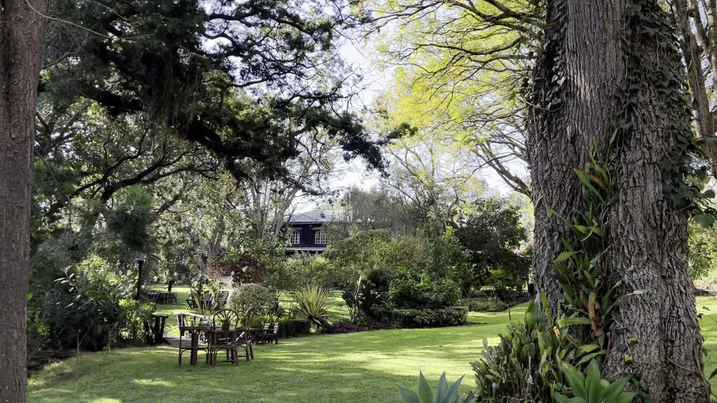 Naro Moru River Lodge, Naro Moru Kenya