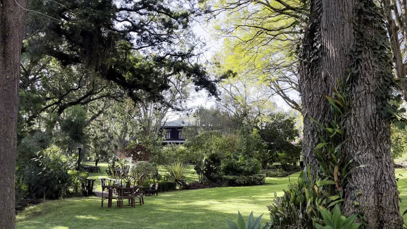 Naro Moru River Lodge, Naro Moru Kenya