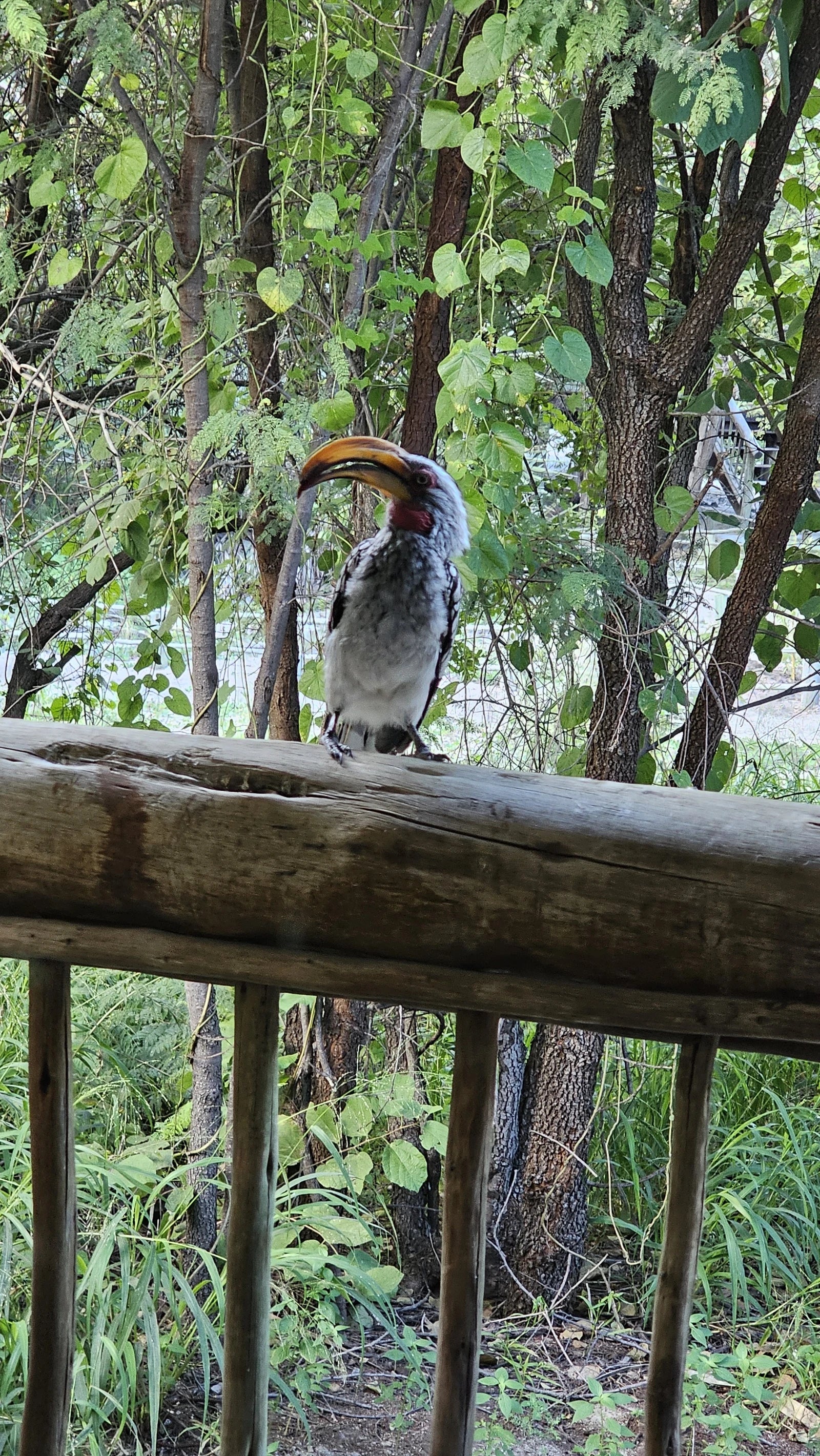 Nata Lodge, Nata Botswana