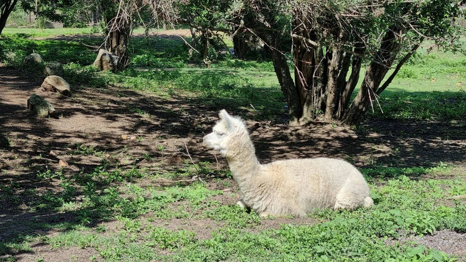 Natal Zoological Gardens