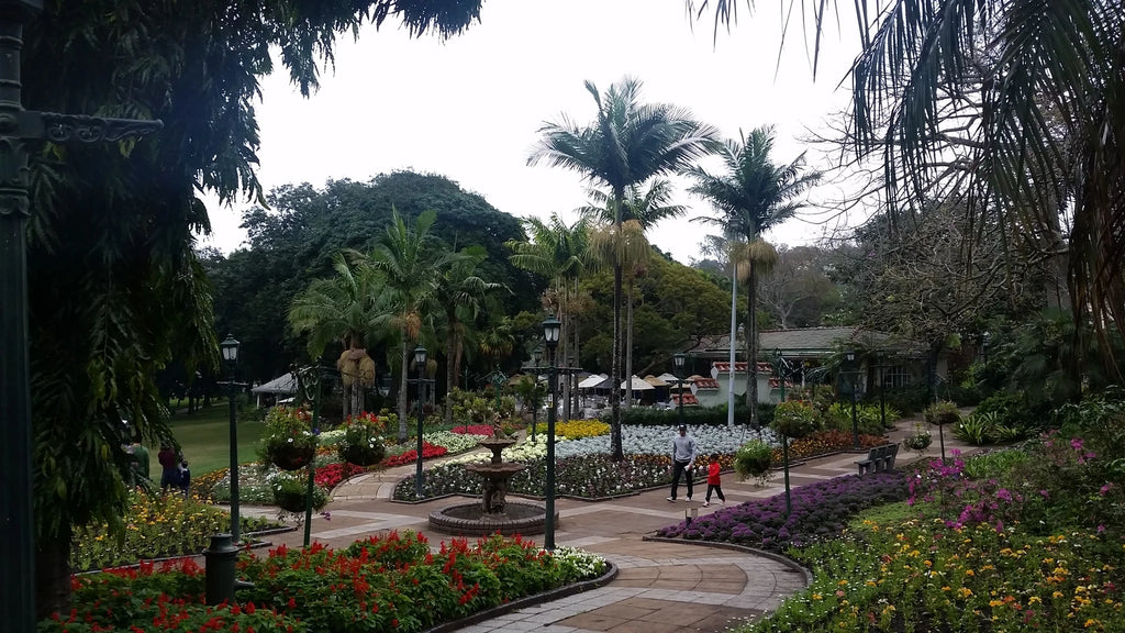 Natal Zoological Gardens, Cato Ridge South Africa