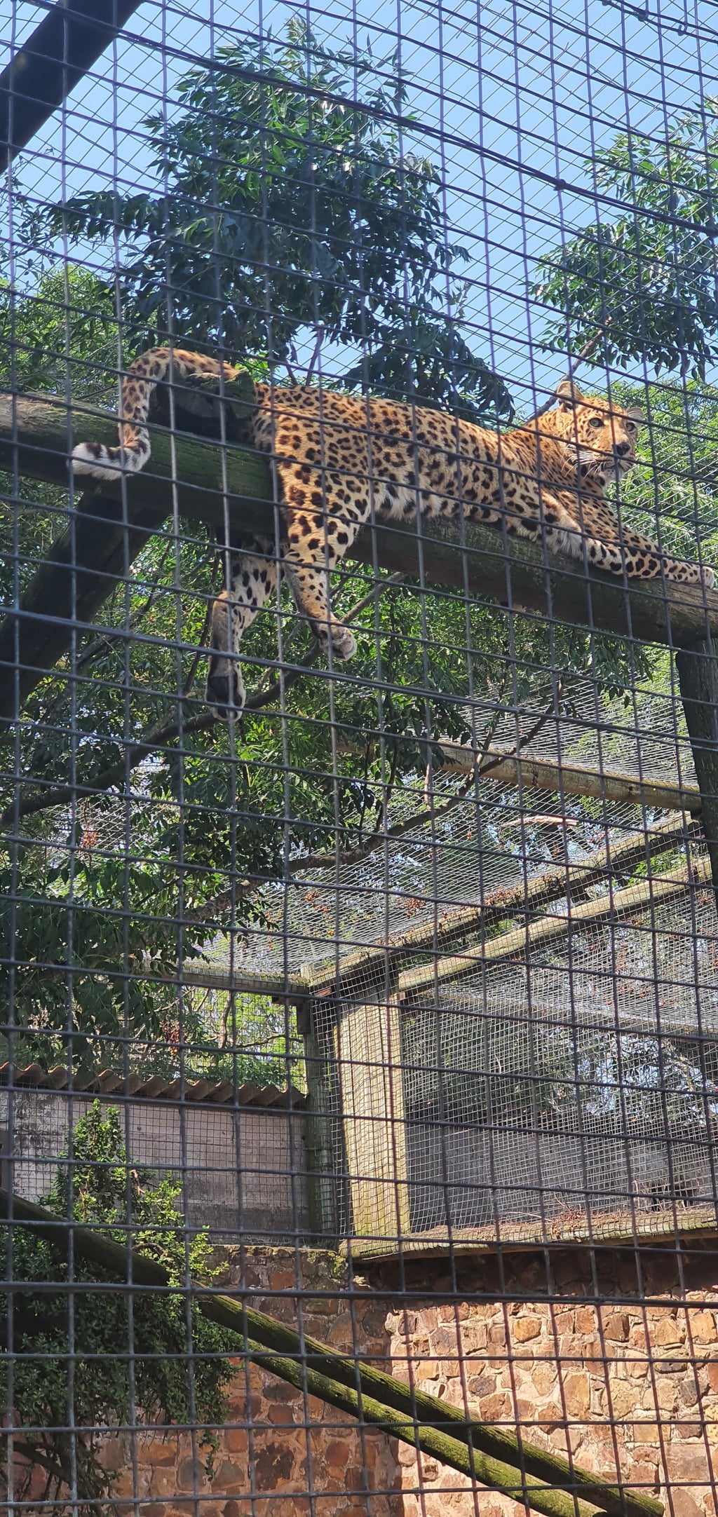 Natal Zoological Gardens, Cato Ridge South Africa