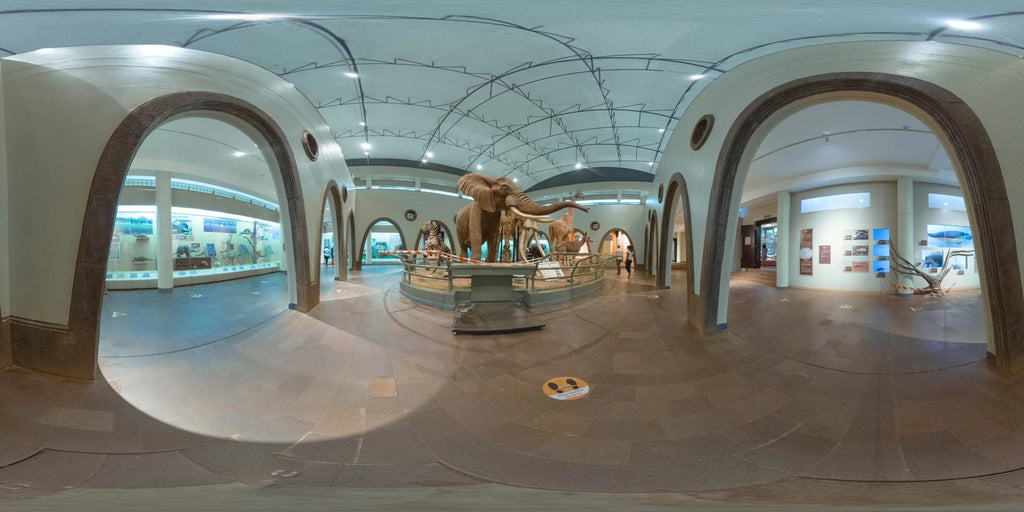 National Museum of Kenya, Nairobi Kenya