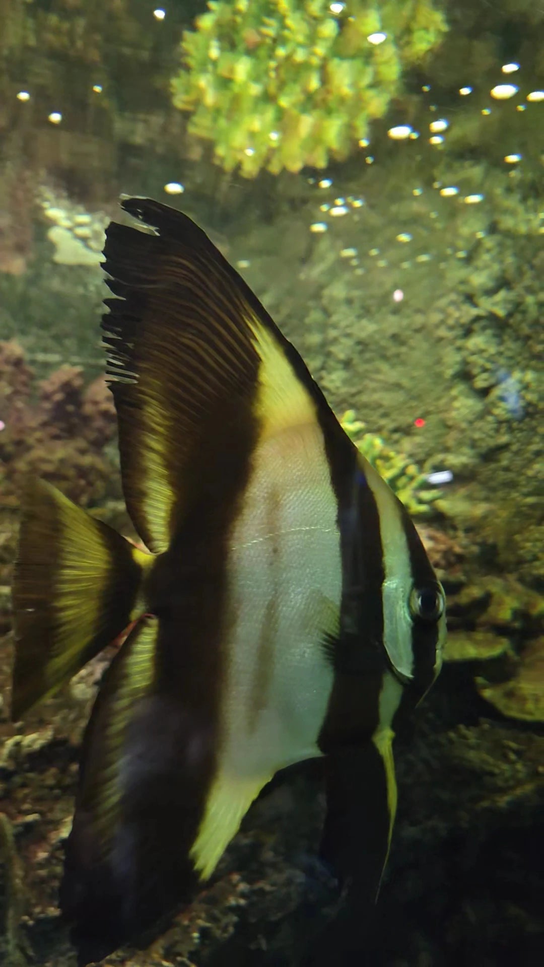 National Zoological Gardens, Pretoria South Africa