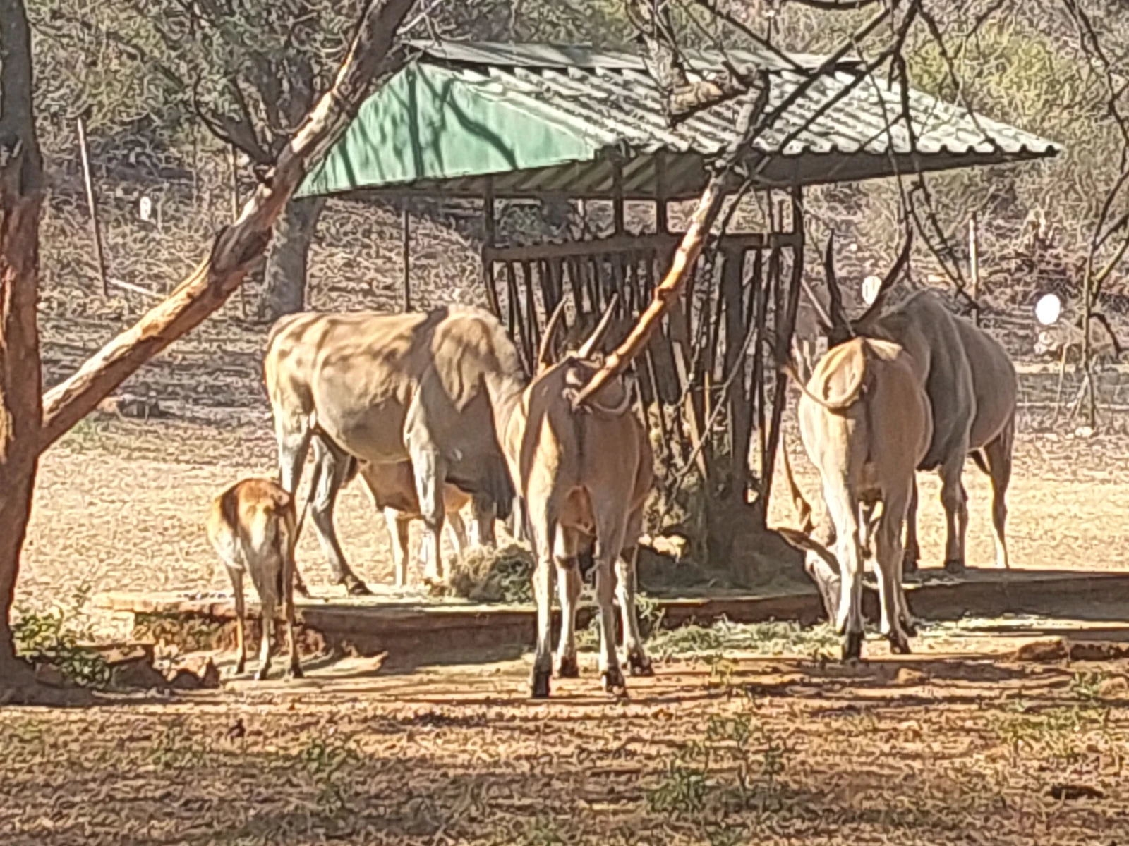 National Zoological Gardens, Pretoria South Africa