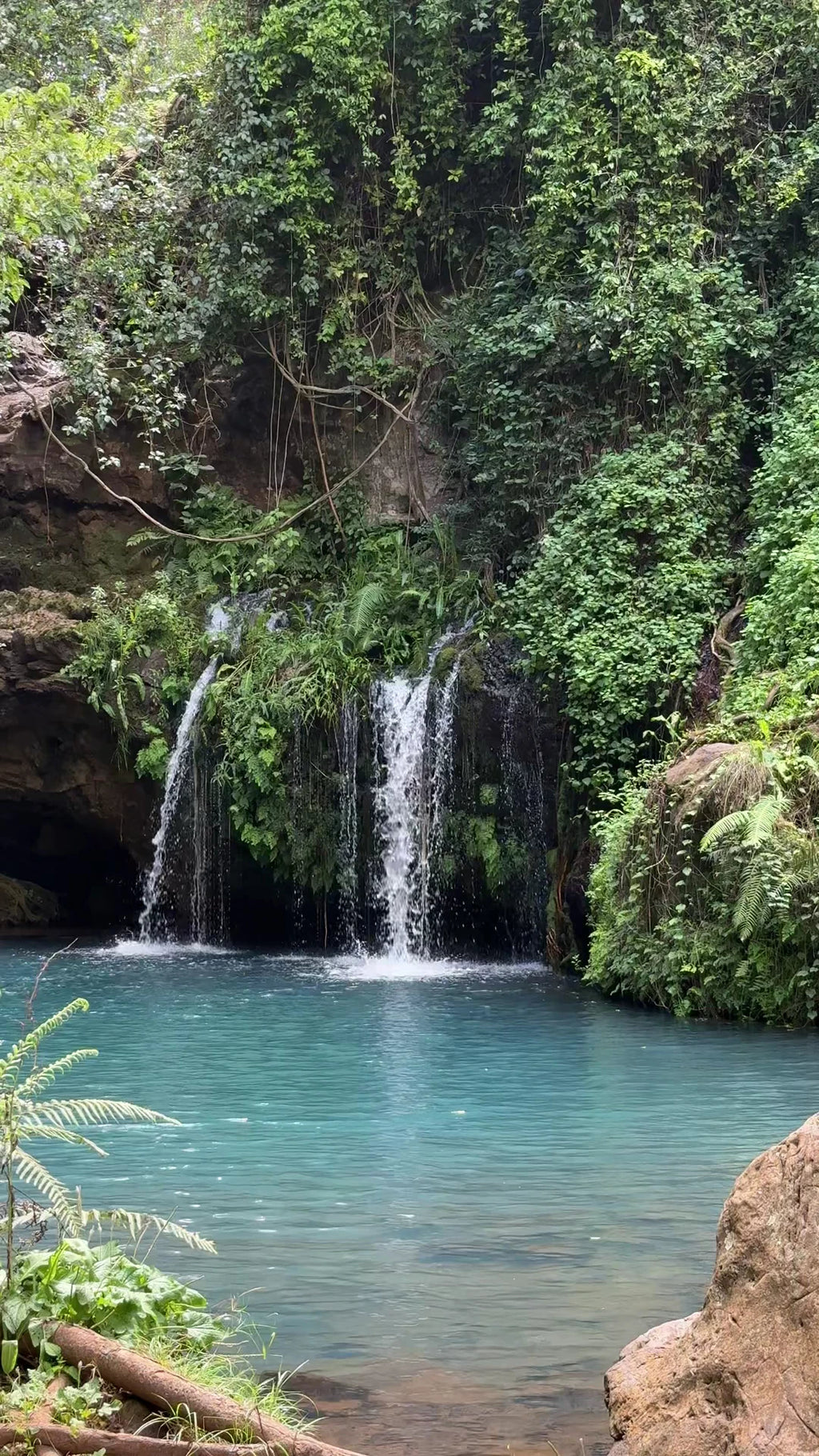 Ngare Ndare Forest Park, Meru Kenya