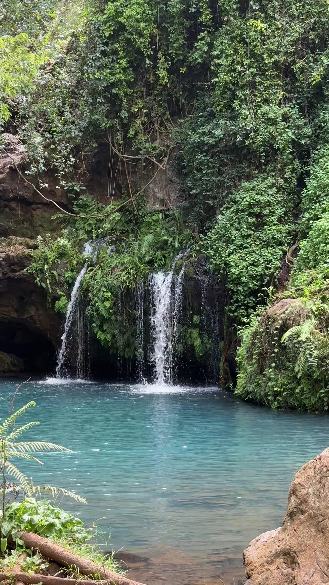 Ngare Ndare Forest Park, Meru Kenya