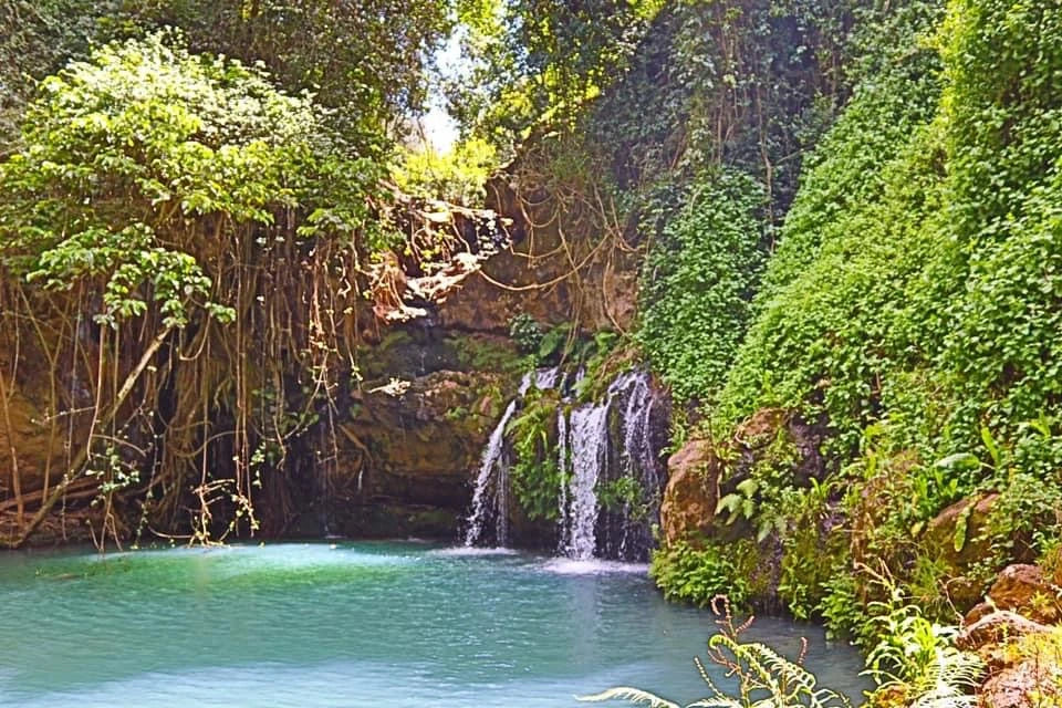 Ngare Ndare Forest Park, Meru Kenya