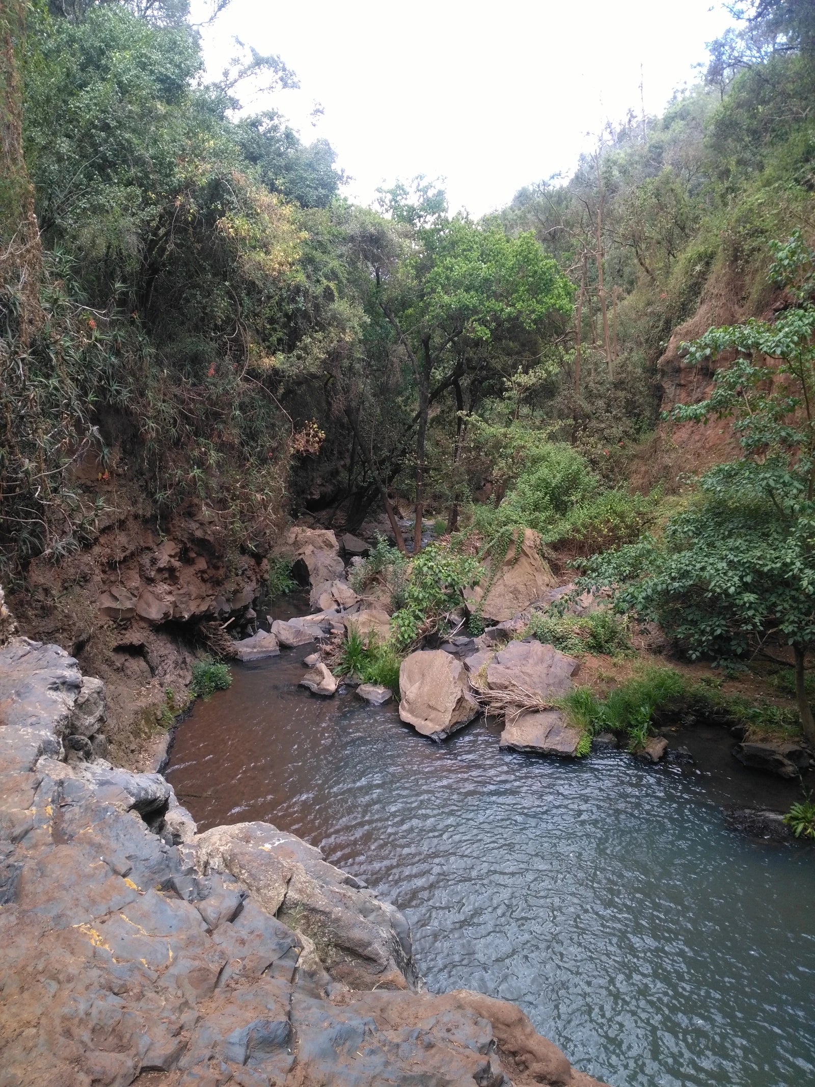Ngare Ndare Forest Park, Meru Kenya