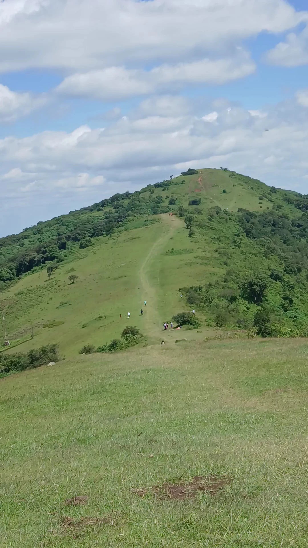Ngong Hills Forest Reserve, Ngong Kenya