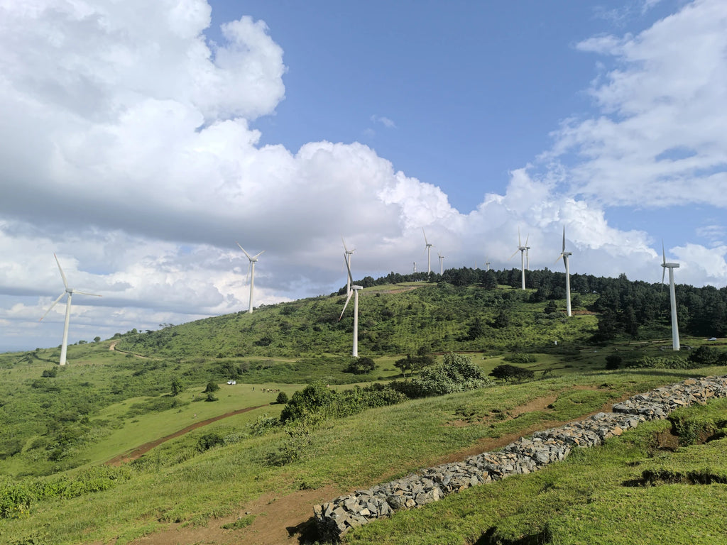 Ngong Hills Forest Reserve, Ngong Kenya