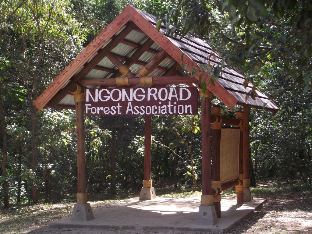 Ngong Road Forest Sanctuary, Ngong Kenya