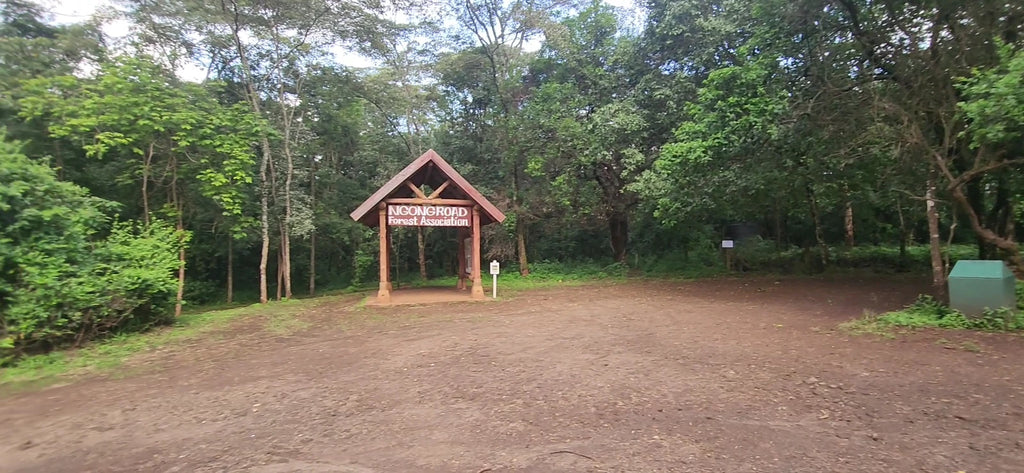 Ngong Road Forest Sanctuary, Ngong Kenya