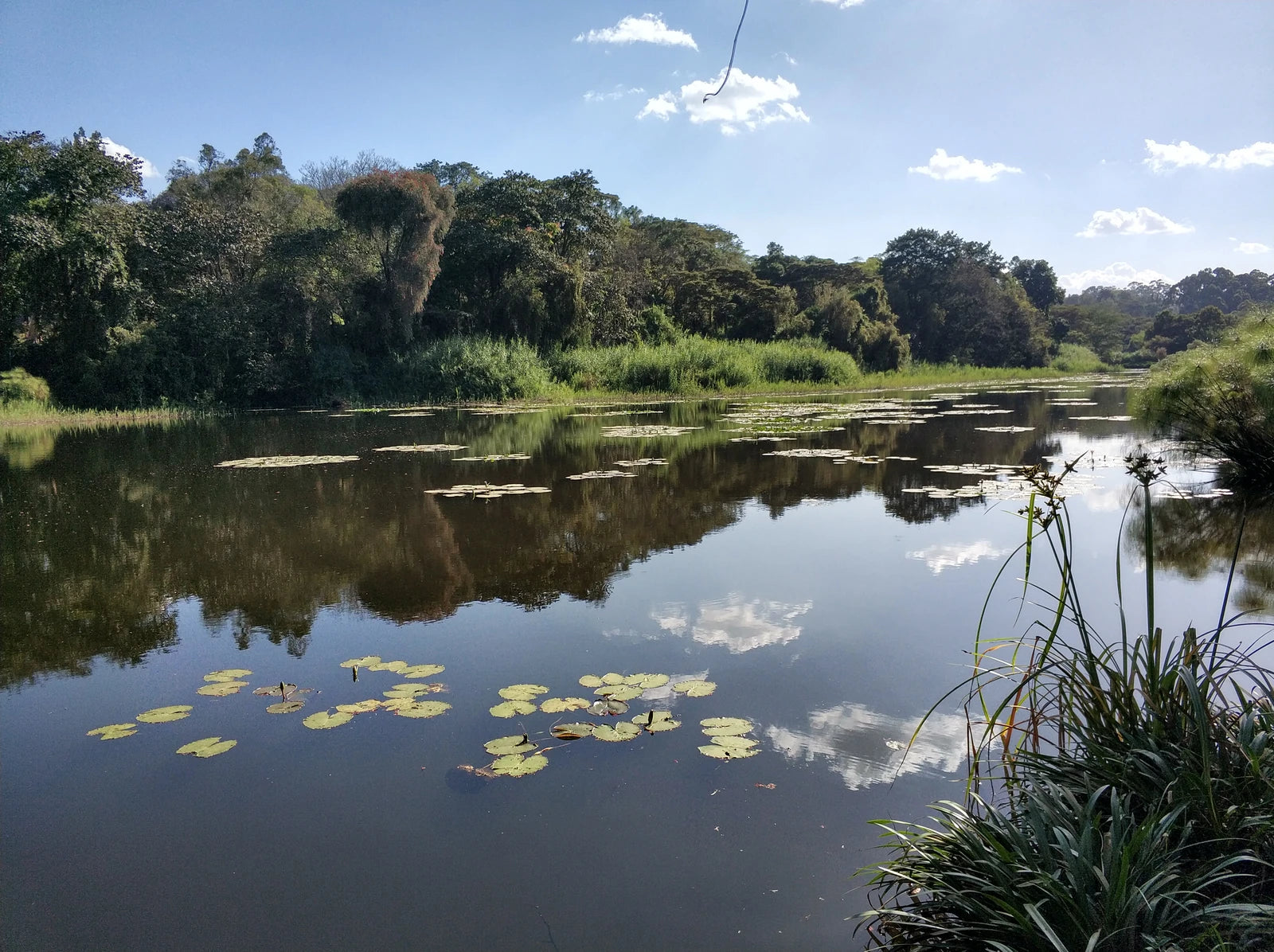Ngong Road Forest Sanctuary, Ngong Kenya