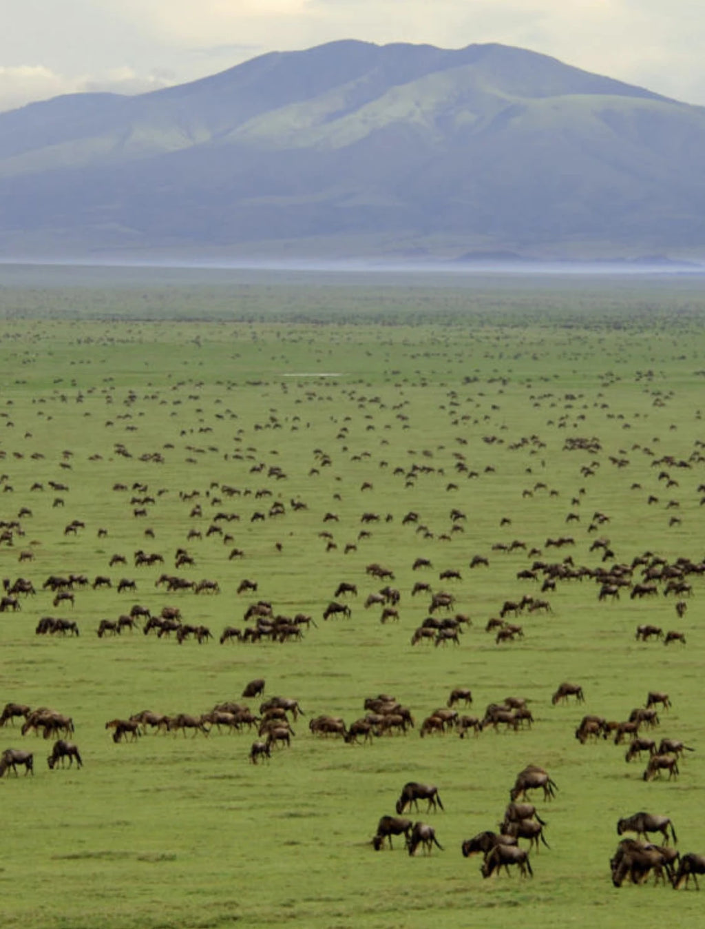 Ngorongoro Crater ViewPoint,  Tanzania