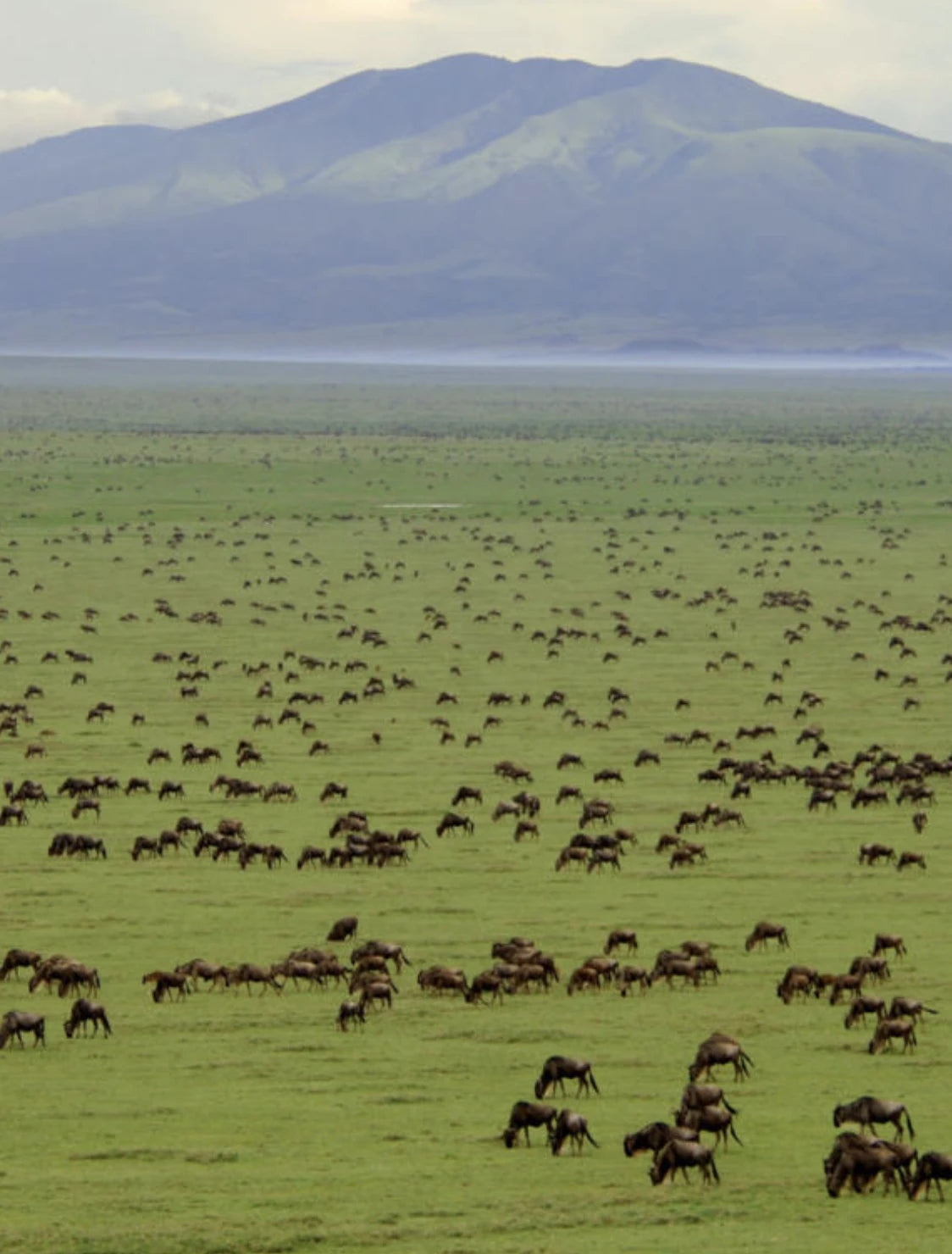 Ngorongoro Crater ViewPoint,  Tanzania