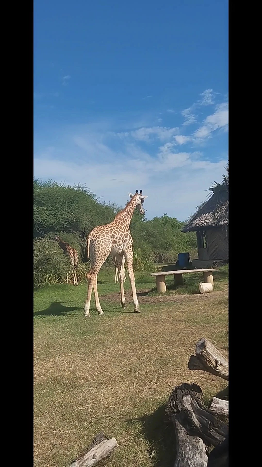 Nguuni Nature Sanctuary, Mombasa Kenya