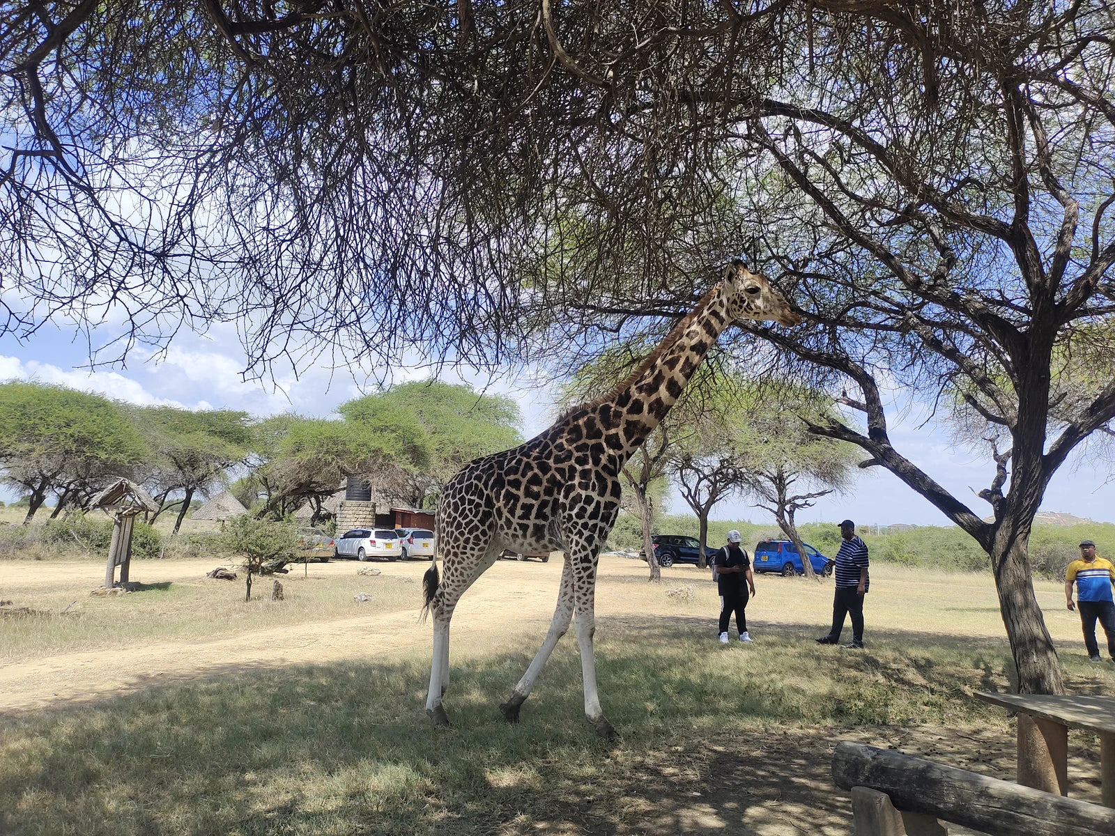 Nguuni Nature Sanctuary, Mombasa Kenya