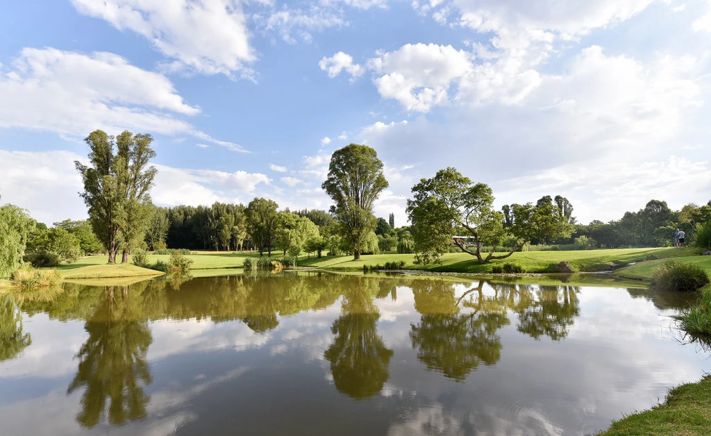 NIROX Sculpture Park, Krugersdorp South Africa