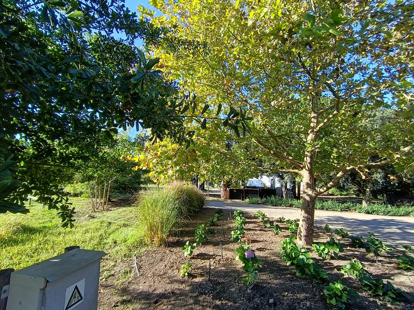 Nooitgedacht Estate, Stellenbosch South Africa