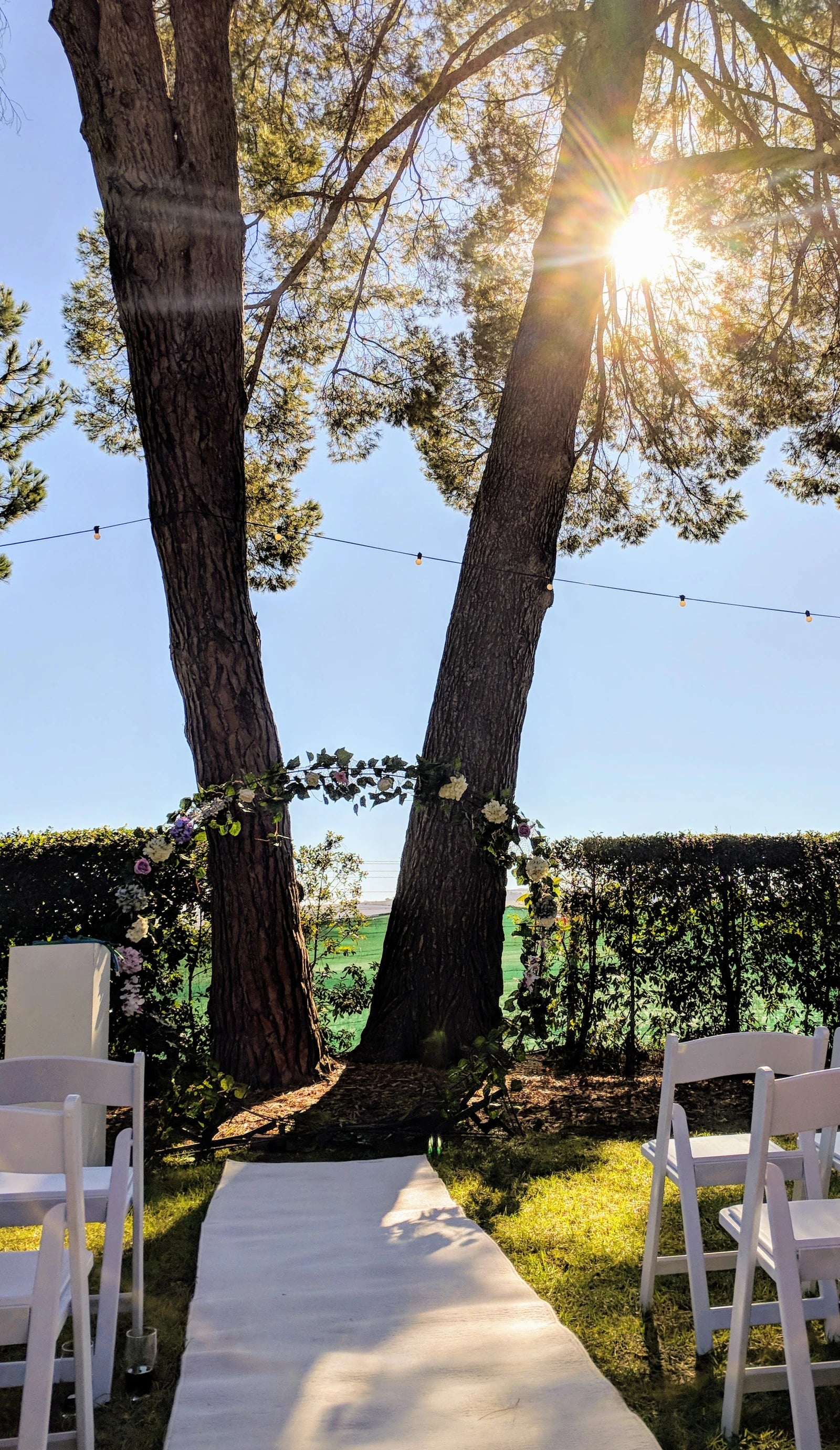Nooitgedacht Estate, Stellenbosch South Africa