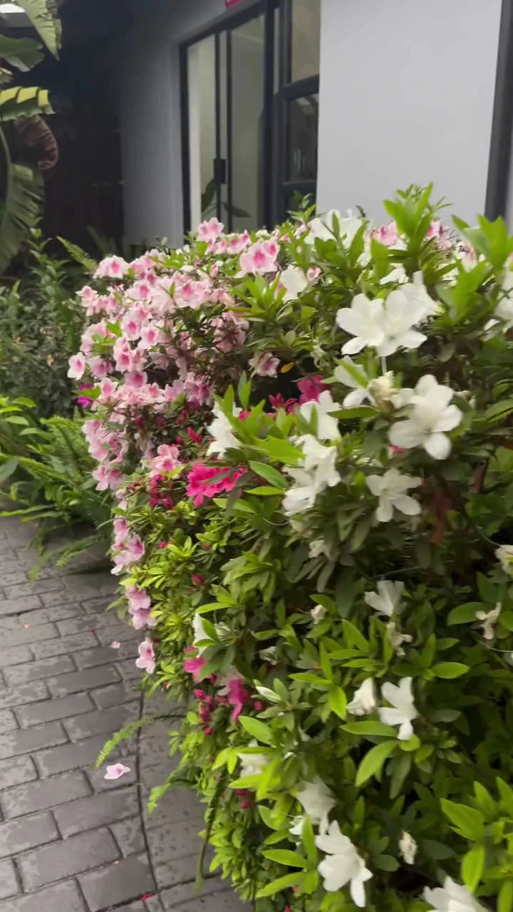 Nouvelle ere Beauty Spa & Boutique Guesthouse, Centurion South Africa